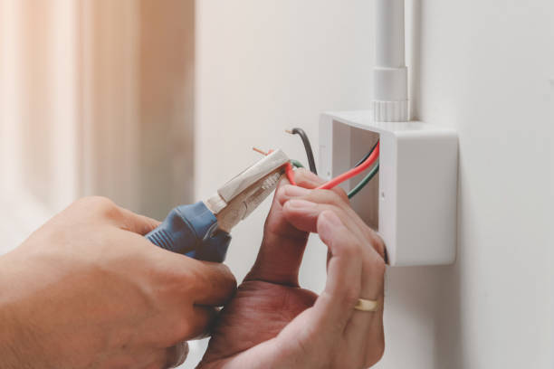 Best Smoke and Carbon Monoxide Detector Installation  in Cambria, IL